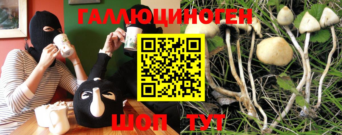 Псилоцибиновые грибы Psilocybine cubensis  Вход с VPN  Нефтекумск  Псилоцибиновые грибы Cubensis 